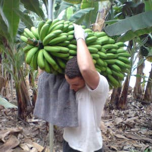 My younger self lifting bananas